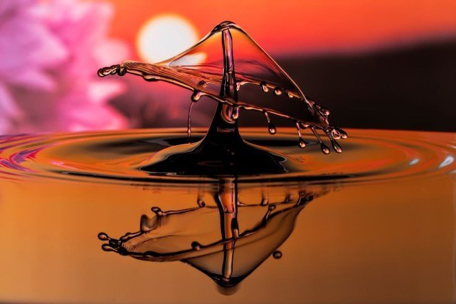 Looks like a mushroom at sunset