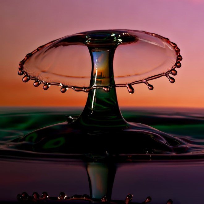 Looks like a reflection of trees and sky in the stem