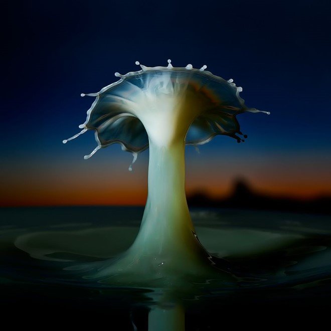 mushroon at sundown