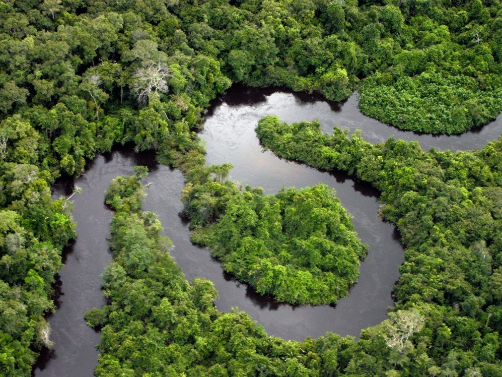 Amazon Rainforest Teles Pires River Brazil
