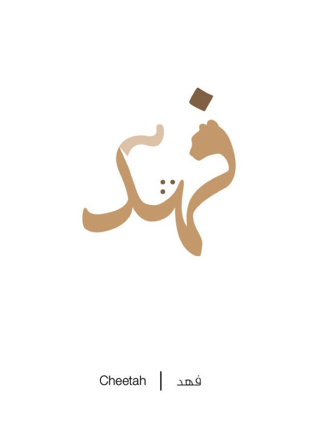 Arabic Illustrations by Mahmoud Tammam 19