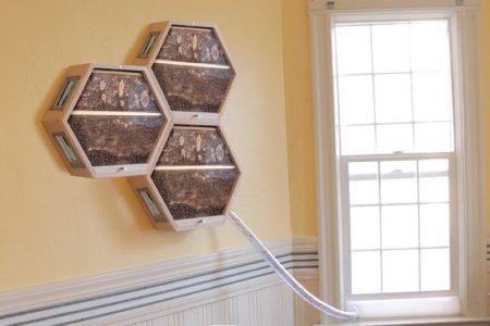 BEEcosystem has made beekeeping the most convenient and fun hobby ever!