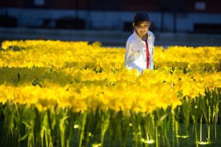 2100 handmade luminescent daffodils pay tribute to nurses at London’s ‘Garden of Light’
