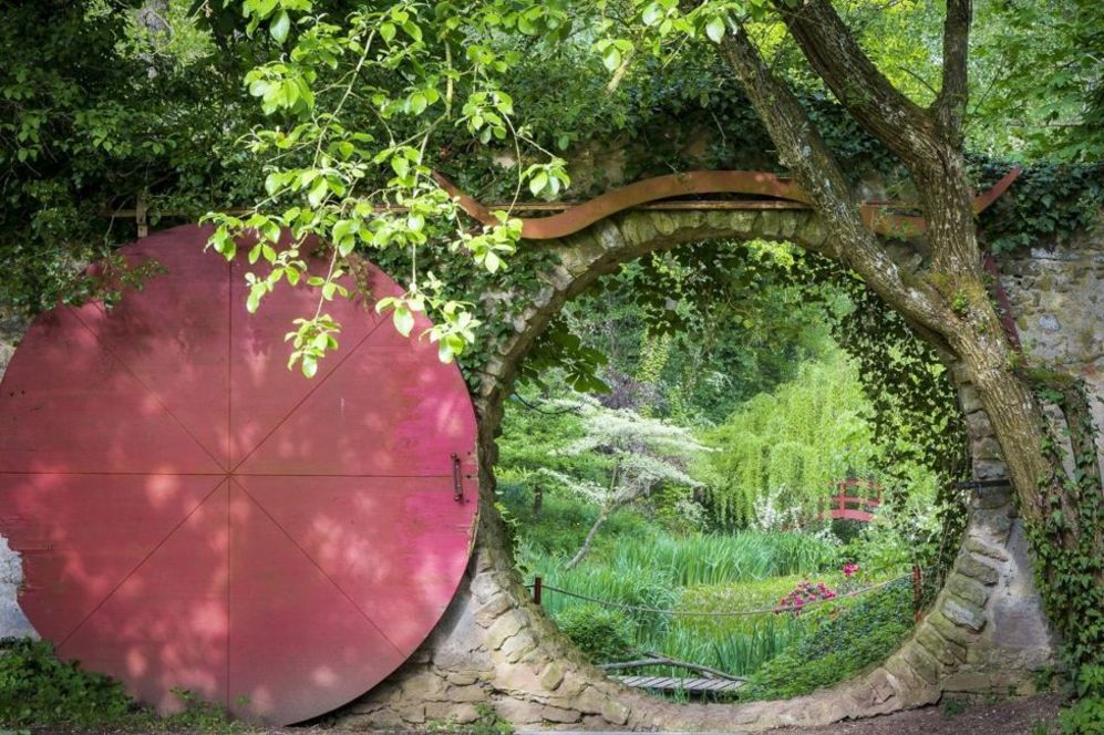 Garden Photographer Competition 1