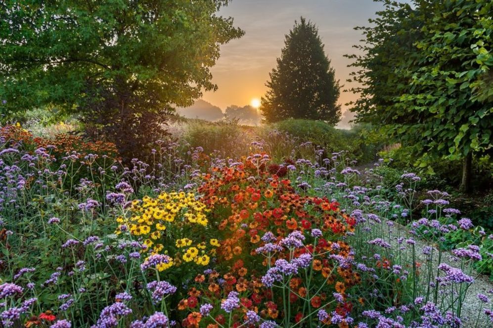 Garden Photographer Competition 2