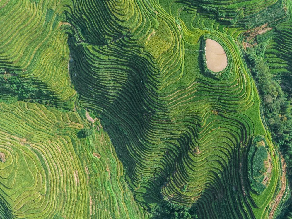 Longsheng Rice Terraces Pingan Village China