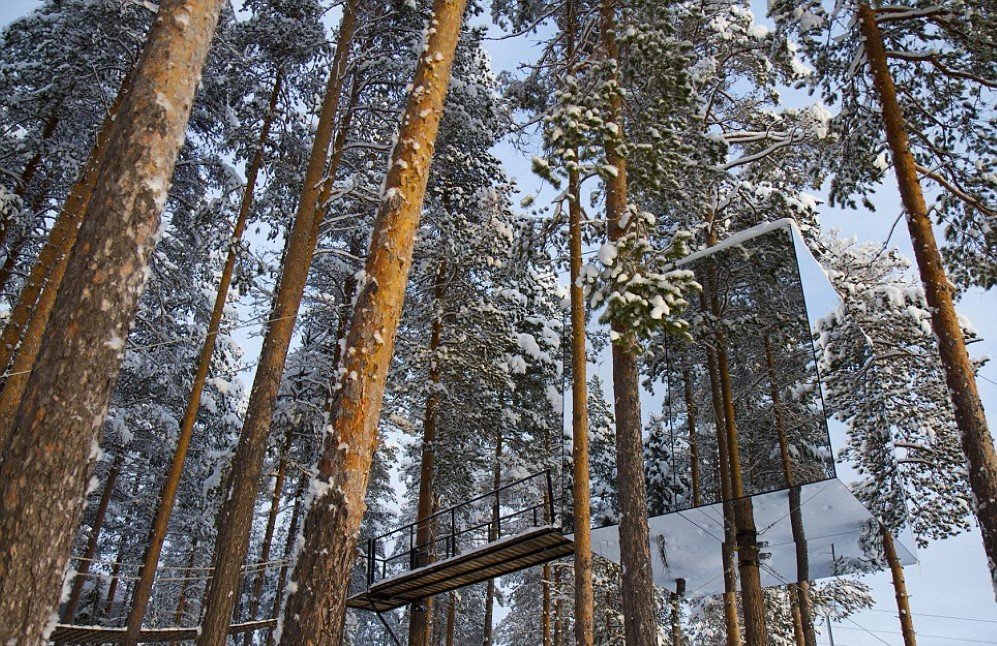 Microcube Treehouse 6