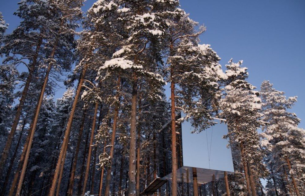Microcube Treehouse 7