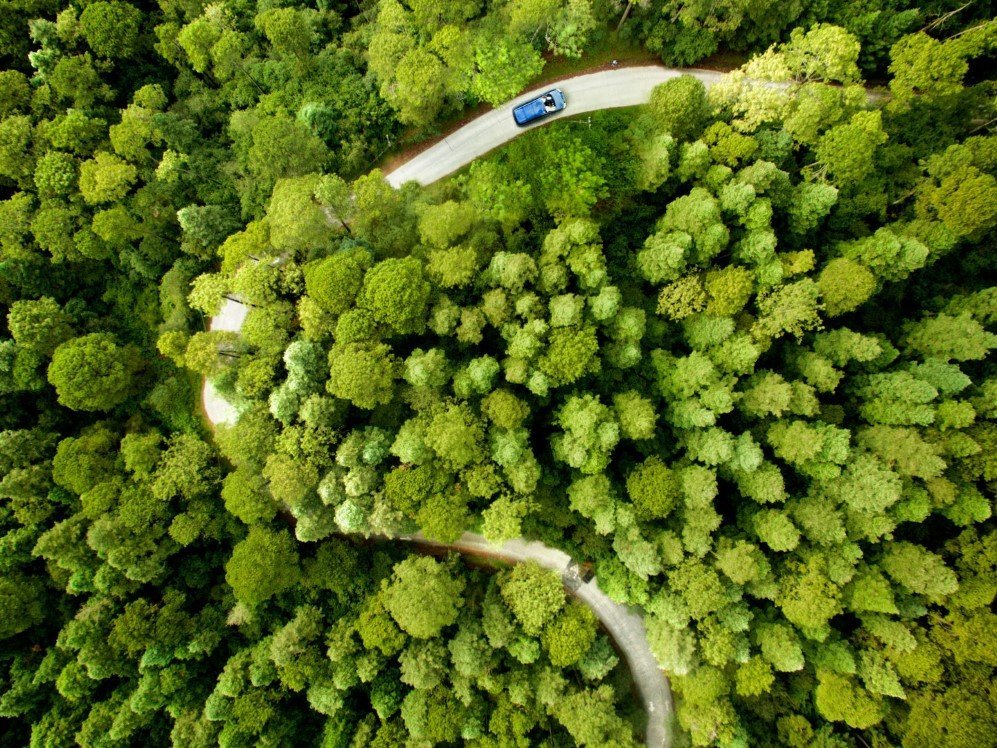 The Blue Ridge Parkway U.S.