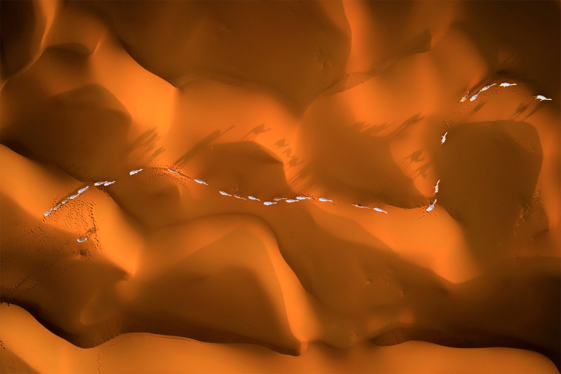 The Path of Camels across the Sands