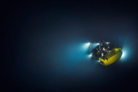 Discover the world underneath the blue ocean on the Blue Planet II program by Airbnb