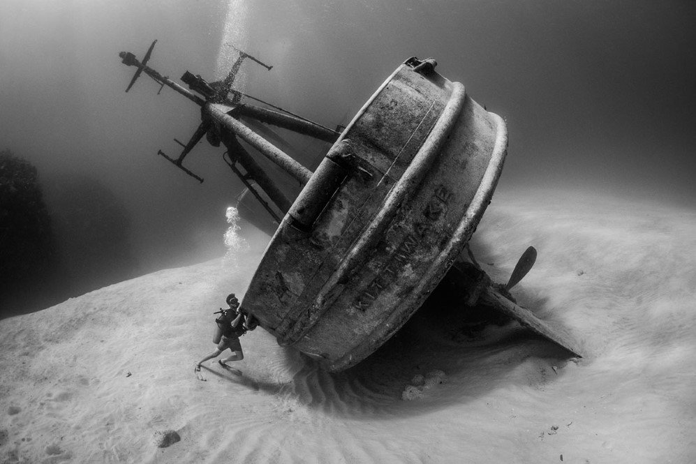 Underwater Photographer of the Year Contest 11