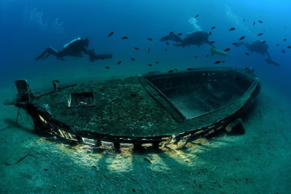 Underwater Photographer of the Year Contest 4