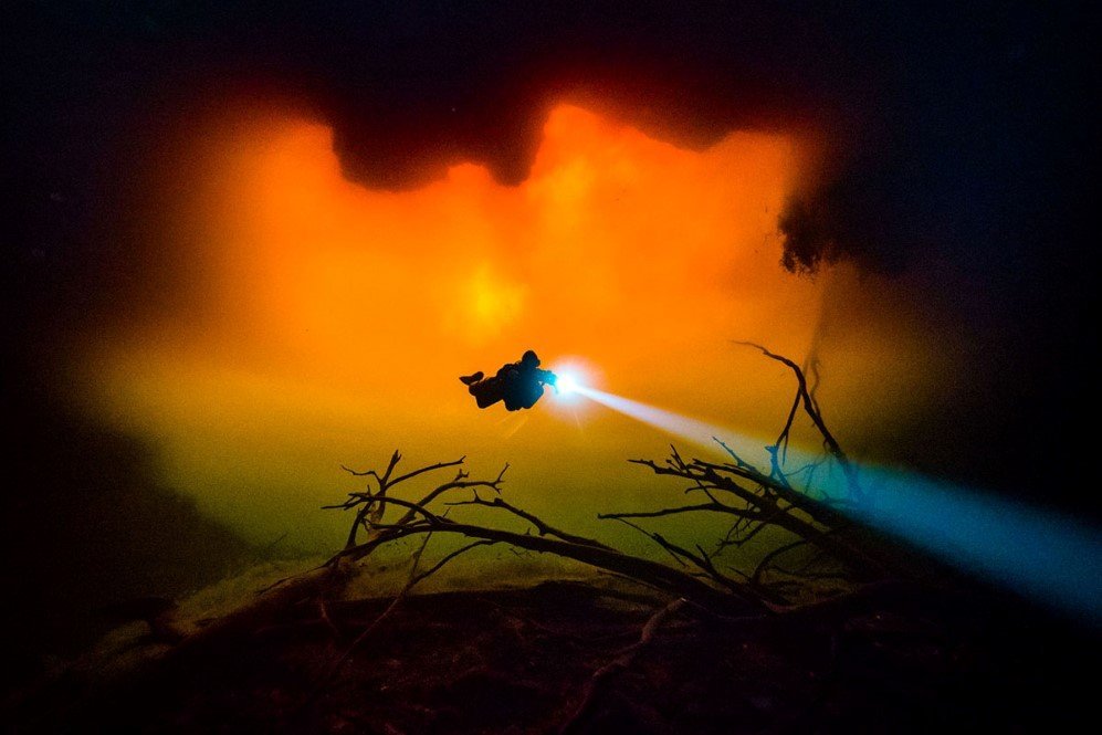 Underwater Photographer of the Year Contest 9