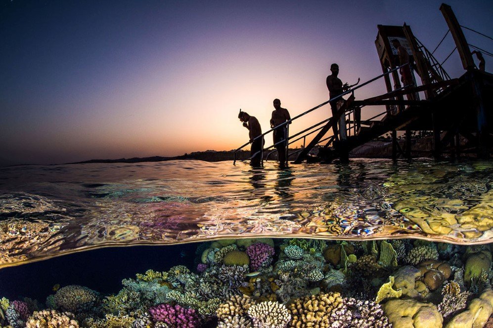 Underwater Photographer of the Year Contest