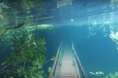 Brazil’s Trail Park turns into a mesmerizing underwater wonderworld after heavy rainfall