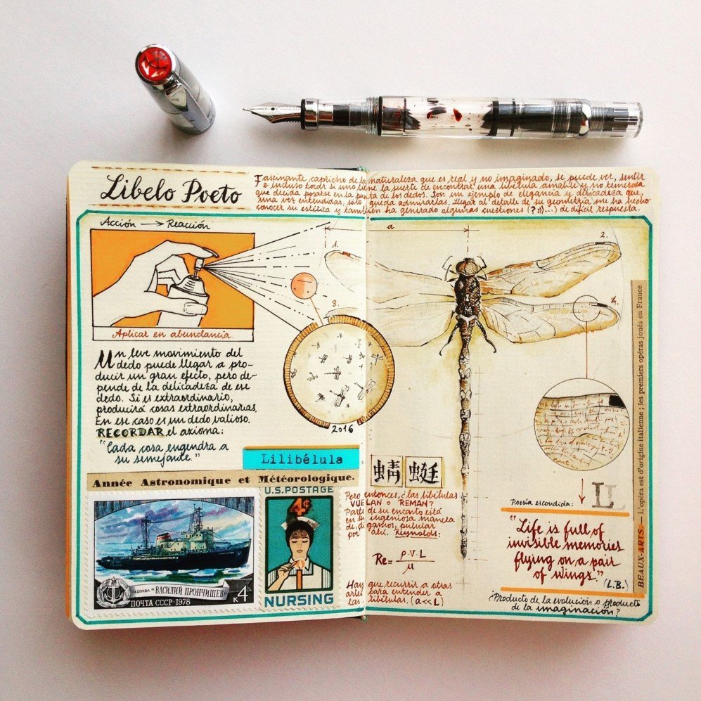 JoseNaranja Sketchbook 8