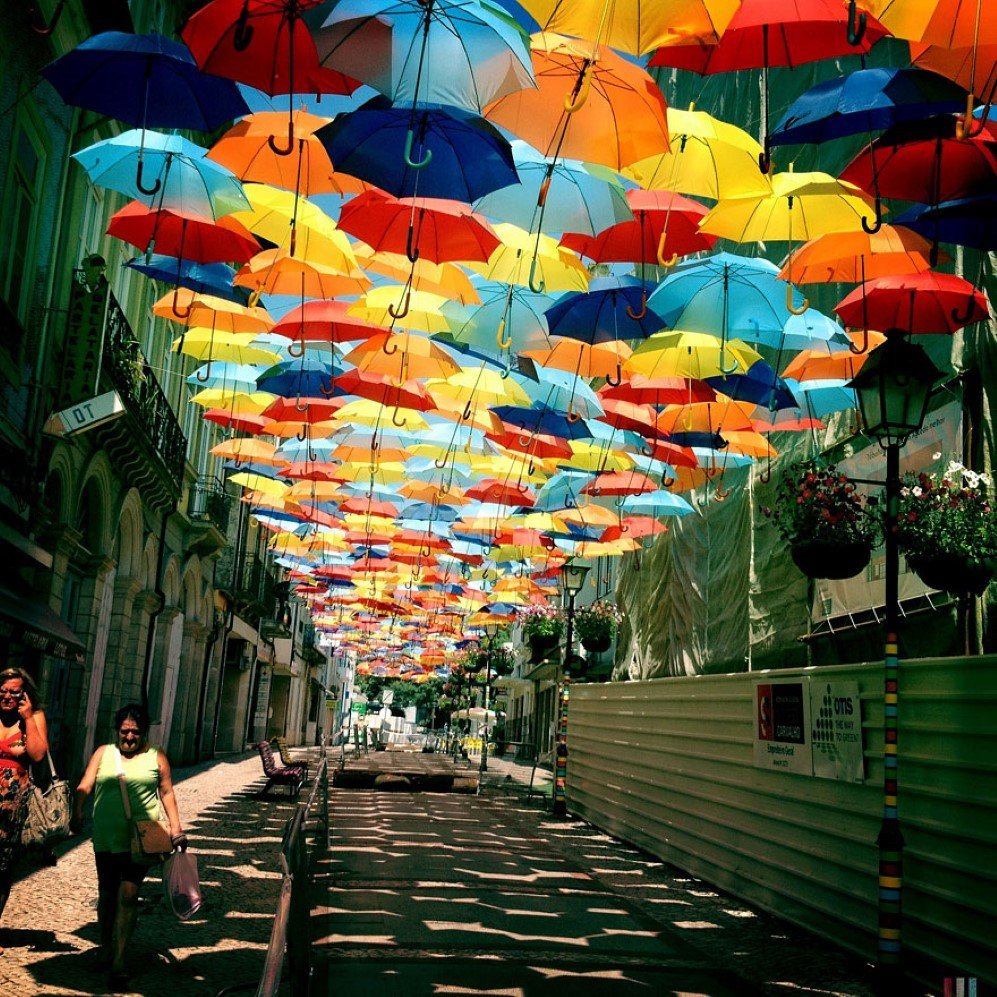 umbrellas 4