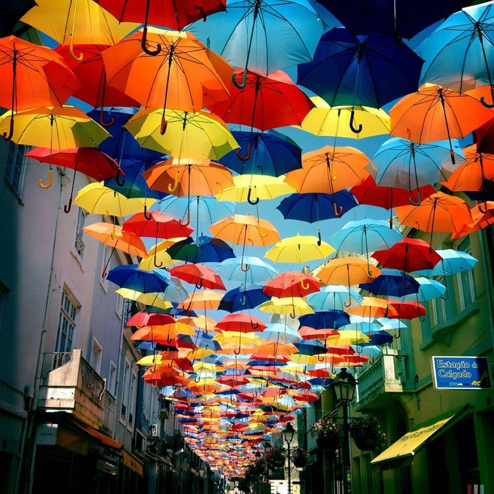 umbrellas 6