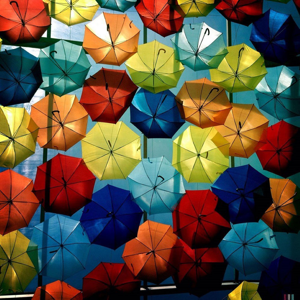 umbrellas 7