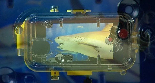 LenZo Underwater Phone Case 3