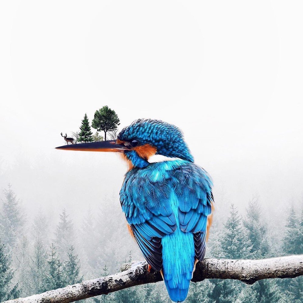 Surreal Photography by Luisa Azevedo 21