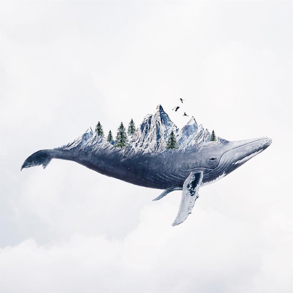 Surreal Photography by Luisa Azevedo 4