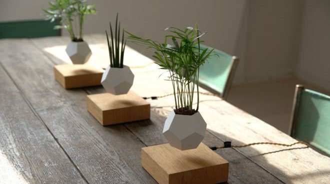 Levitating Flower Pot Lyfe 1