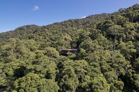 This stunning concrete and glass house blends perfectly into rainforest surroundings