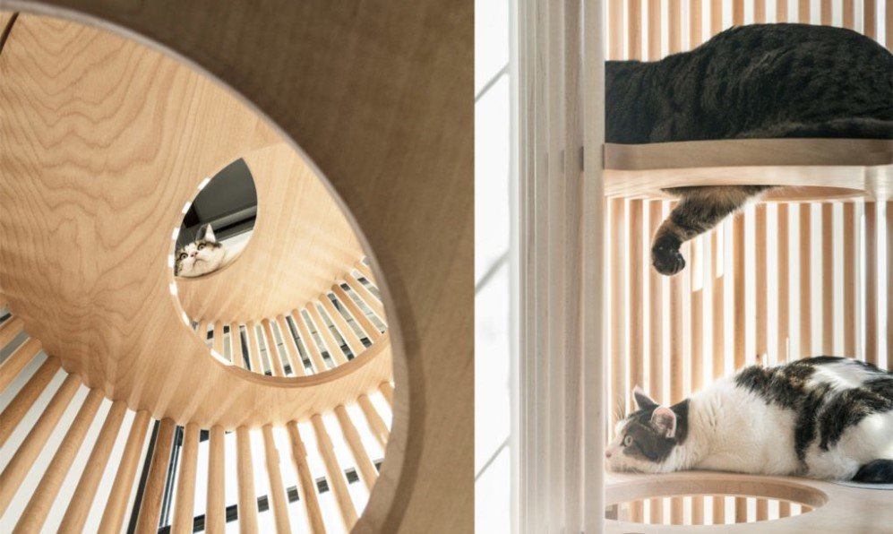 Cat Tree by Yoh Komiyam 8