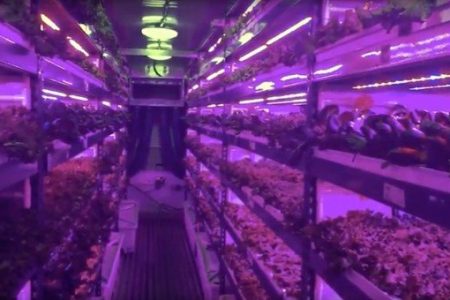 Crop One is going to establish the world’s largest vertical farm in Dubai