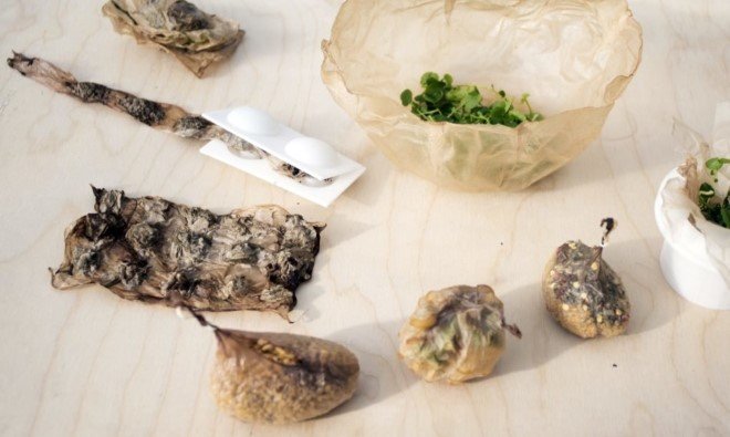 Scoby The Edible Packaging Material 1