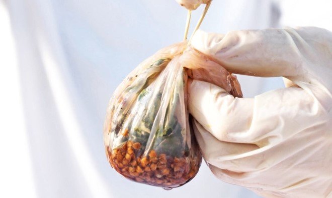 Scoby The Edible Packaging Material 6