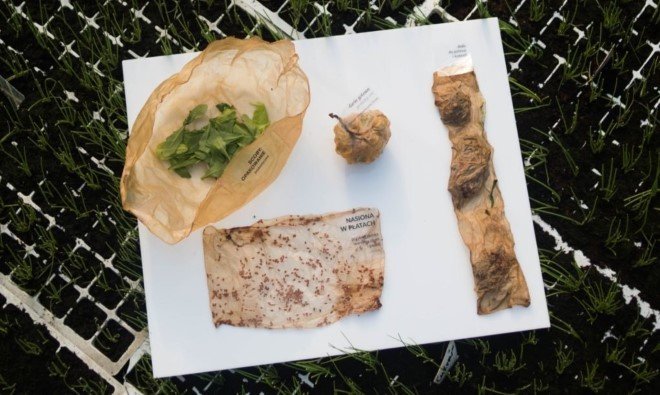 Scoby The Edible Packaging Material 7