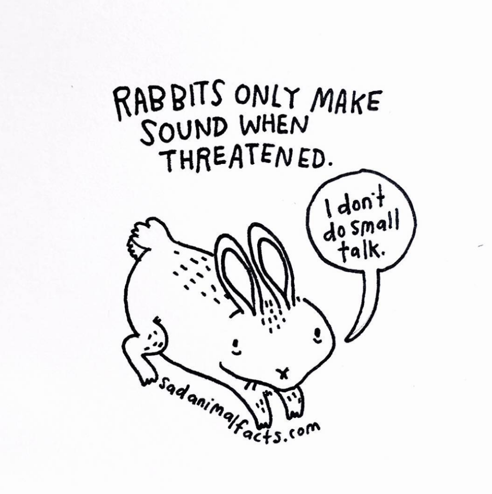 animals 16