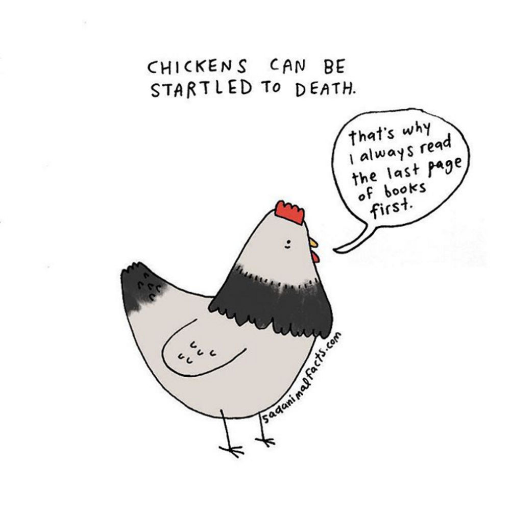 animals 2