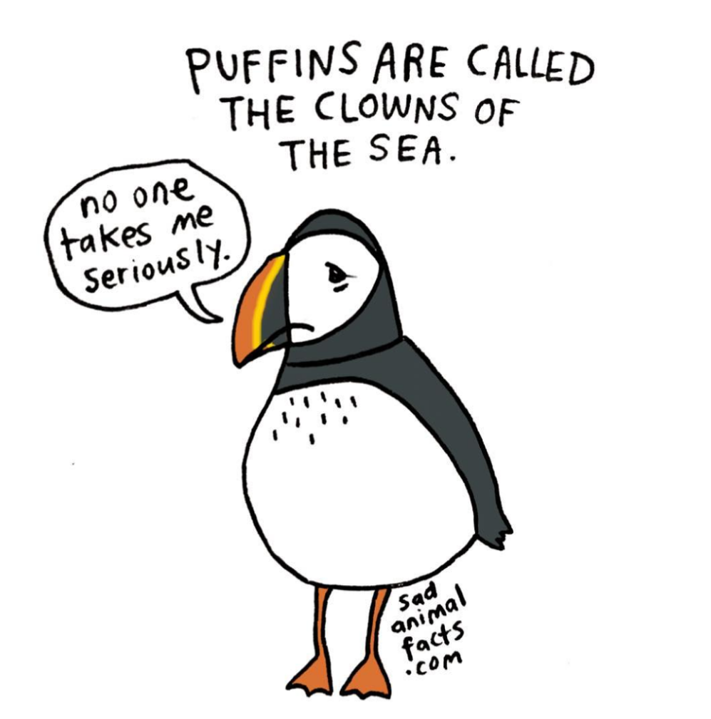 animals 20
