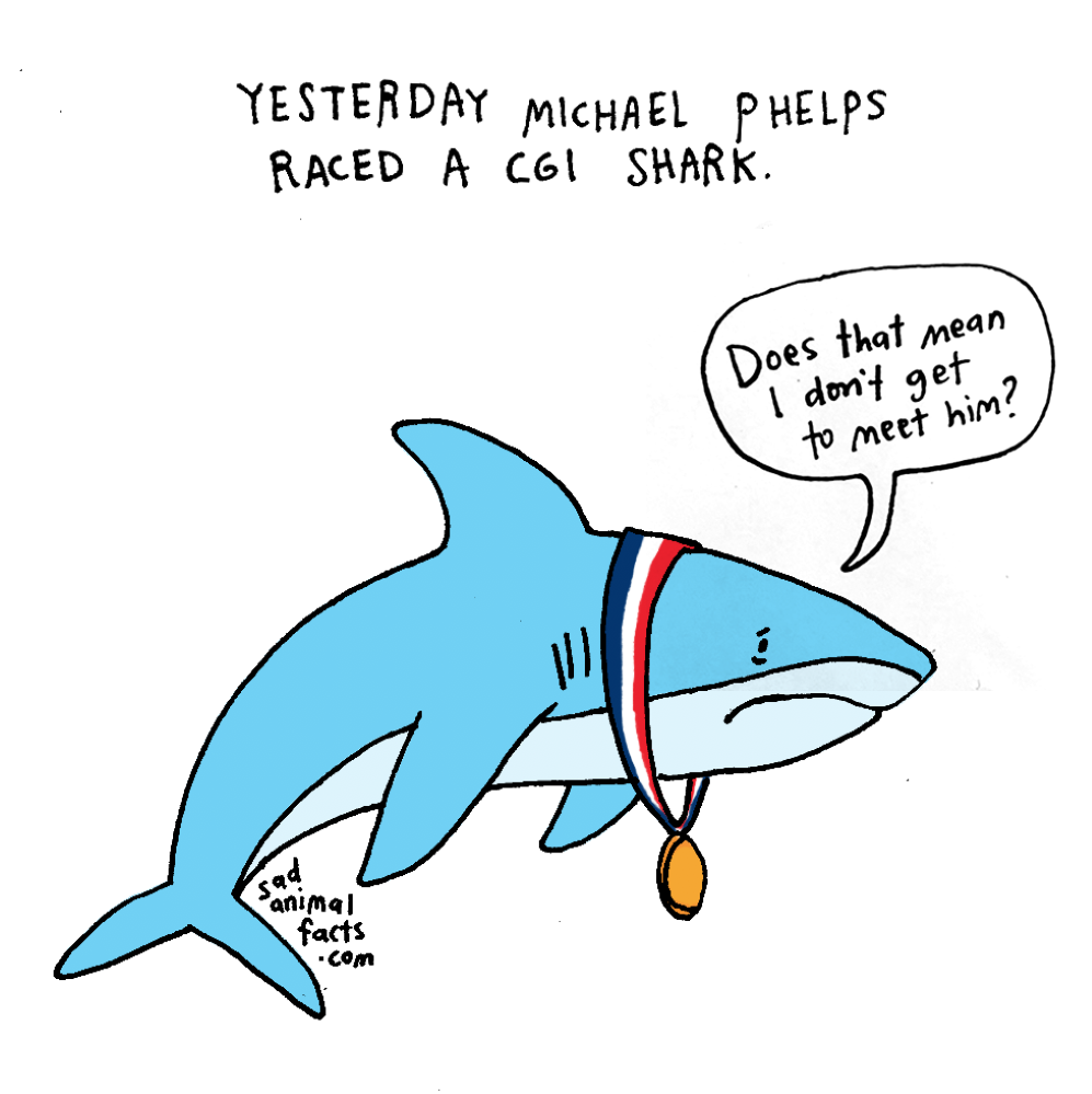 animals 23