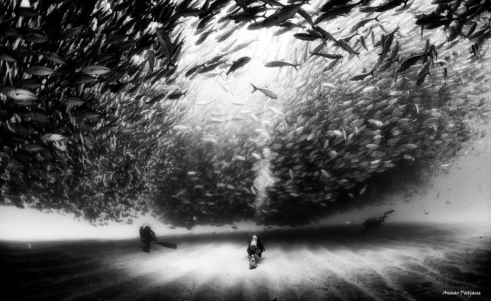 underwater 4
