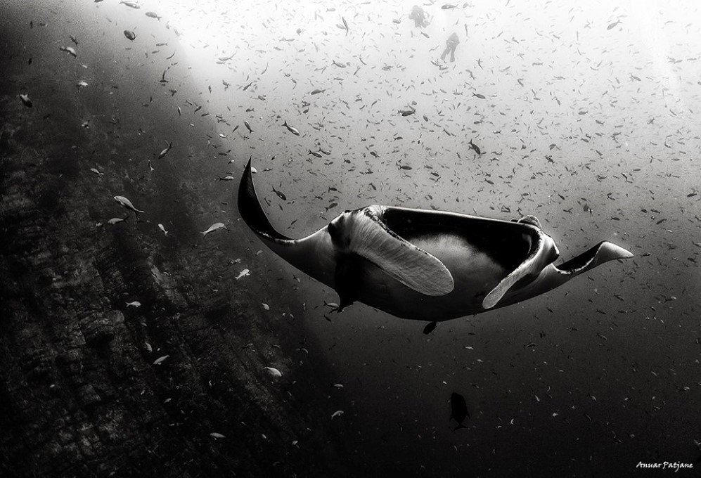 underwater 6