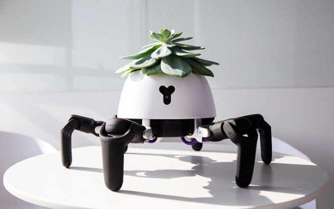 HEXA Robot Plant Holder