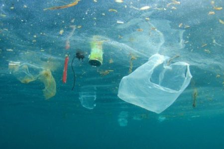 UK’s plastic bag tariff resulted in considerable decline in plastic bag usage