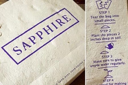A Pakistani clothing brand launched seed infused, biodegradable shopping bags to help plant trees