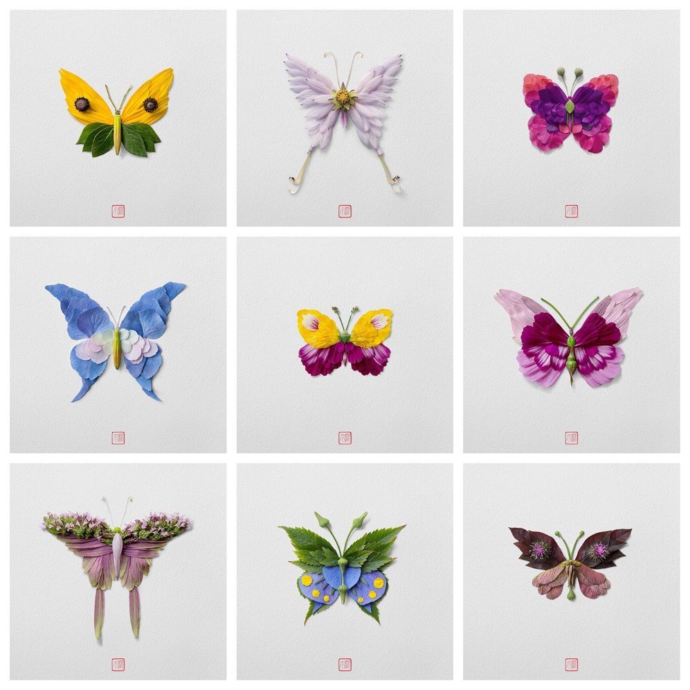 insects 1