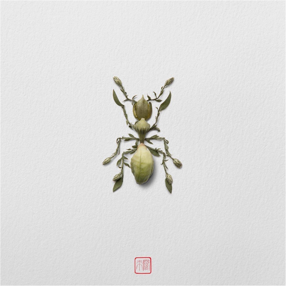 insects 11