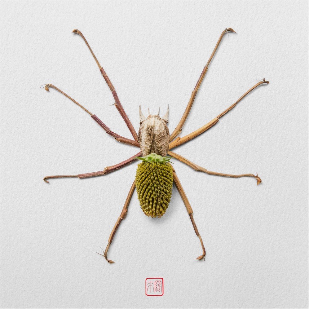 insects 12