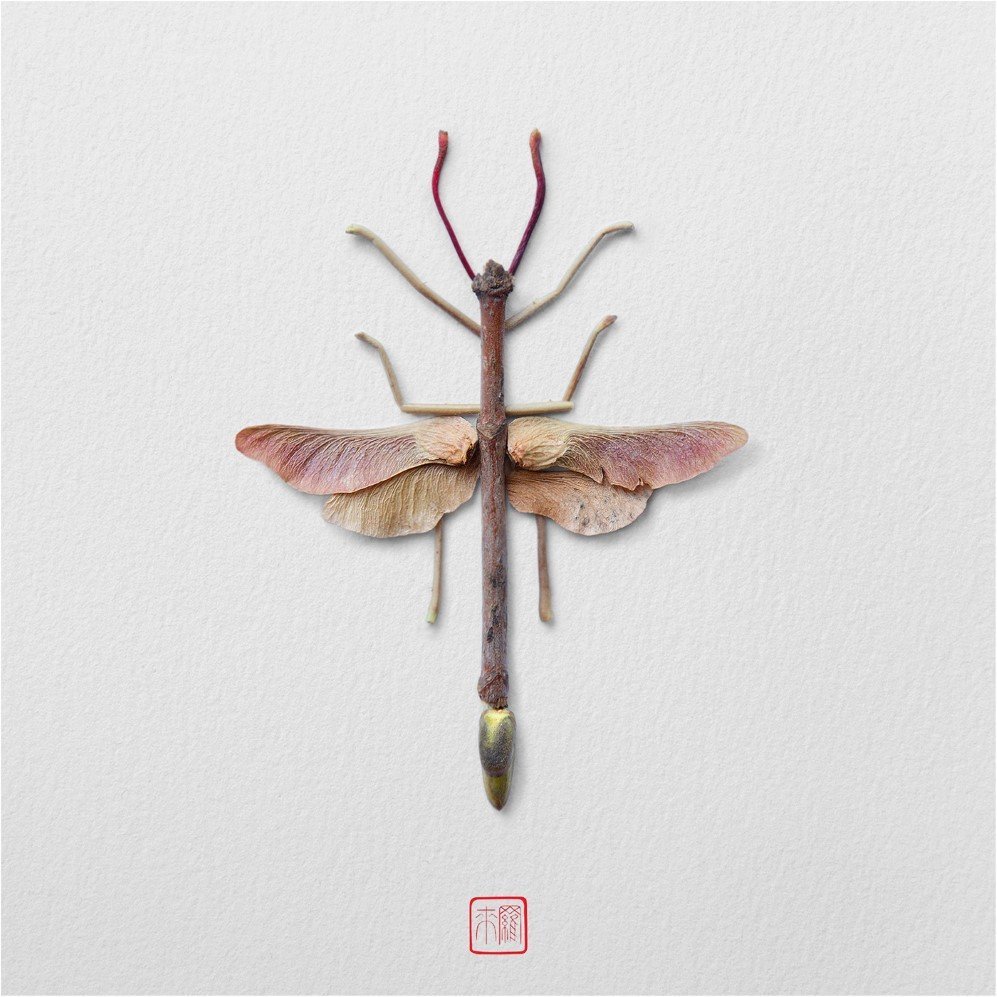 insects 3