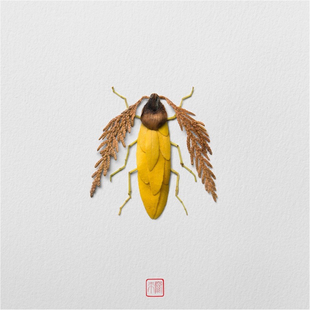 insects 6