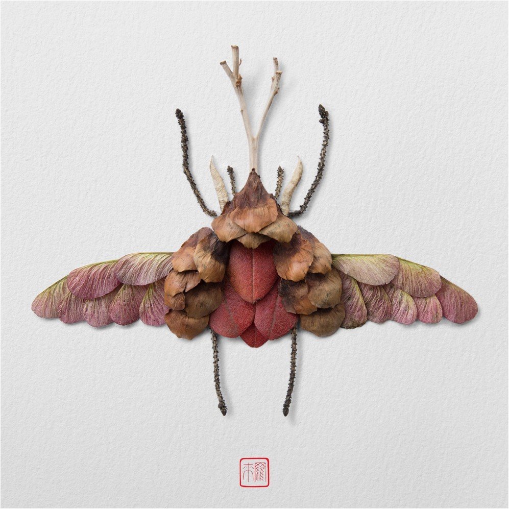 insects 8