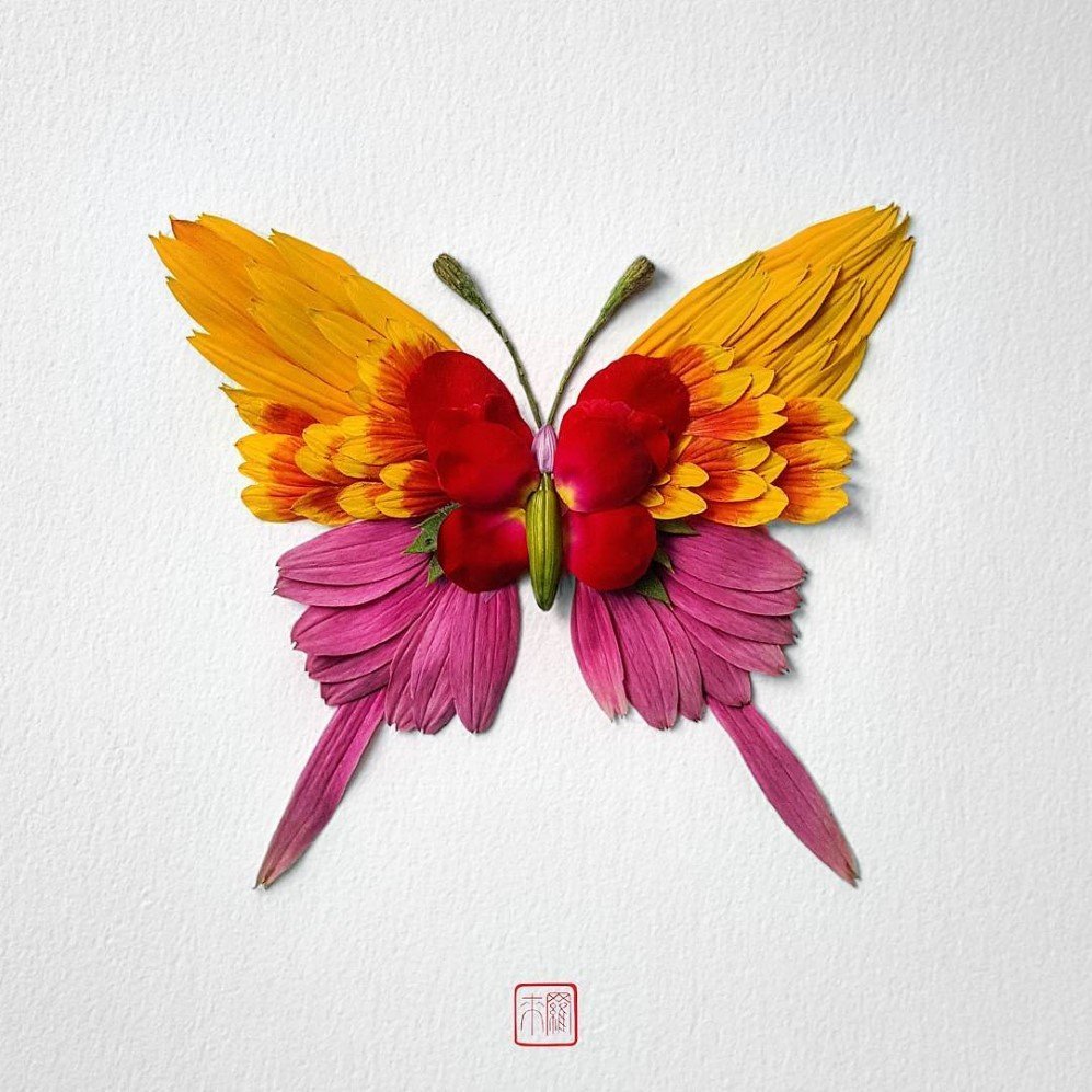 natura 5